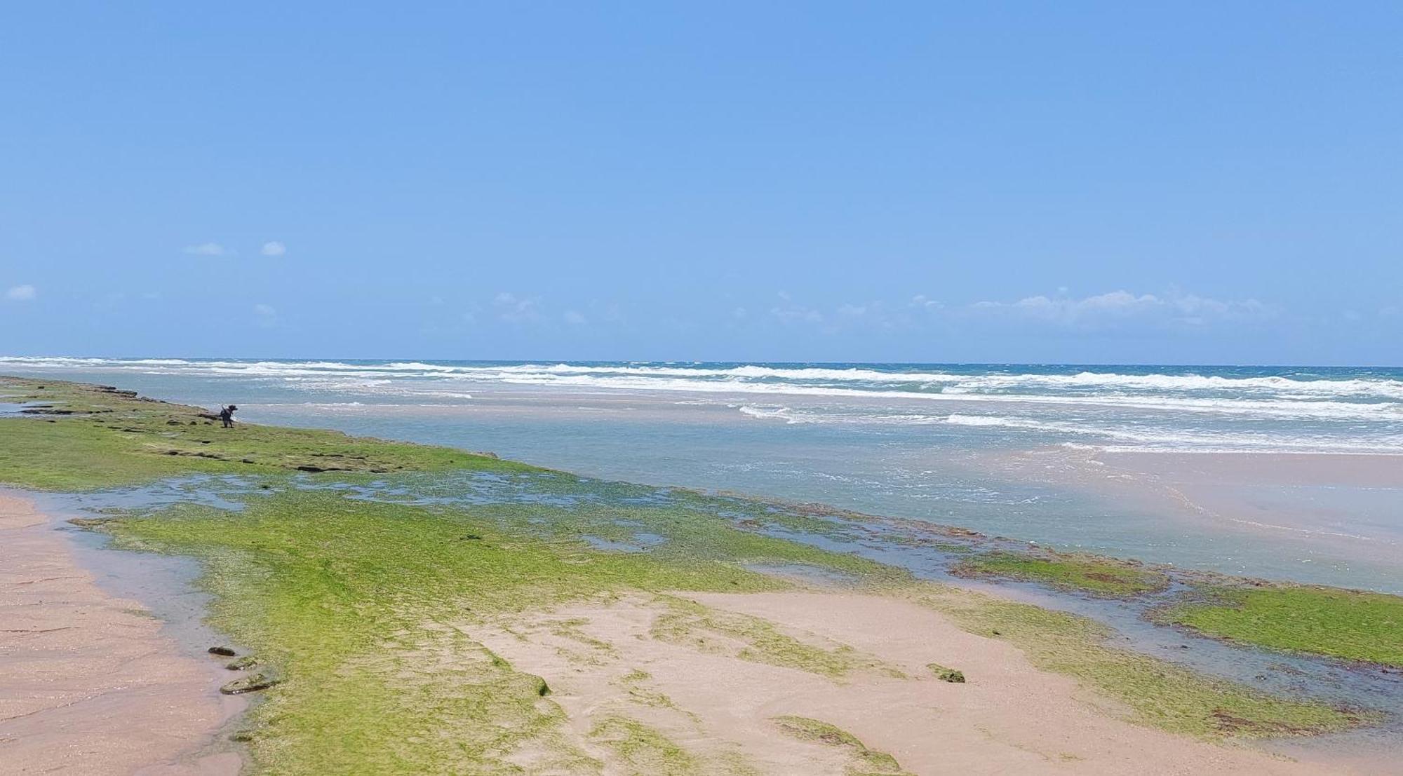 Portal Vida Chale Na Praia Da Taiba Sao Goncalo do Amarante  Экстерьер фото